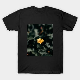 A Small Sunflower T-Shirt